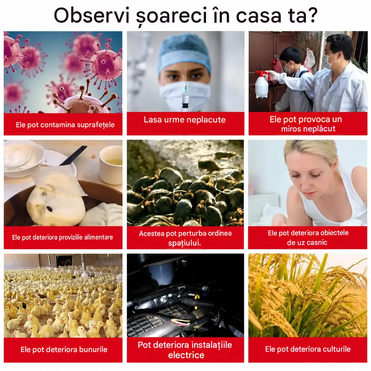 💥 Set de 5 capcane cu lipici extra-puternice pentru șoareci (120 x 27 cm); netoxice și sigure pentru întreaga familie.
